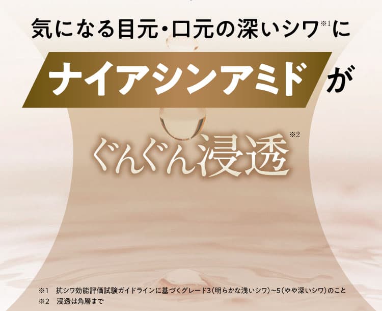 “気になる目元・口元の深いシワ※1にナイアシンアミドがぐんぐん浸透※2シワ改善! ※1 抗シワ効能評価試験ガイドラインに基づくグレード３（明らかな浅いシワ）～５（やや深いシワ）のこと ※2 浸透は角層まで