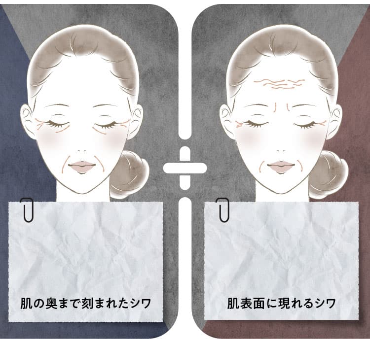 ・年齢ジワ 肌の奥まで刻まれたシワ 肌表面に現れるシワ ・乾燥小ジワ 肌表面に現れるシワ