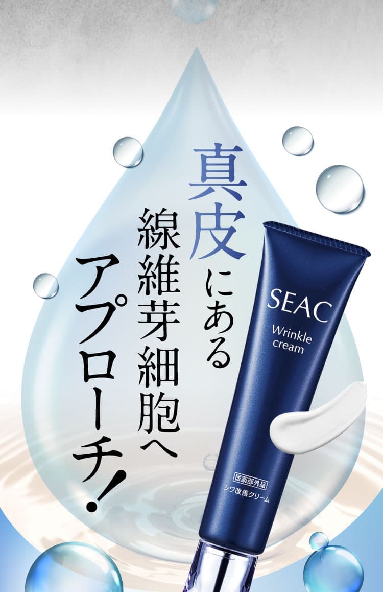 真皮にある線維芽細胞へアプローチ！