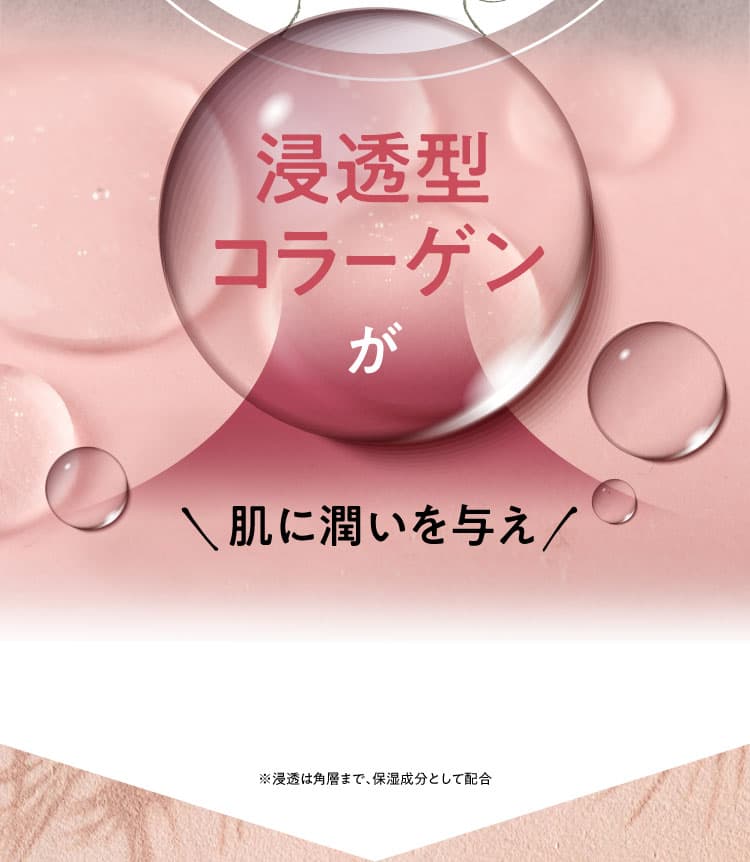 浸透型コラーゲンが ＼肌に潤いを与え／ しっかり保湿 ※浸透は角層まで、保湿成分として配合　
