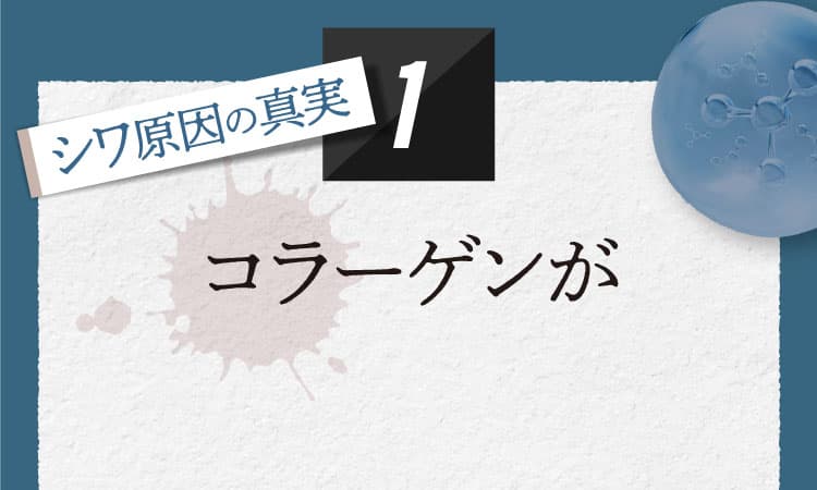 シワ原因の真実１ コラーゲンが