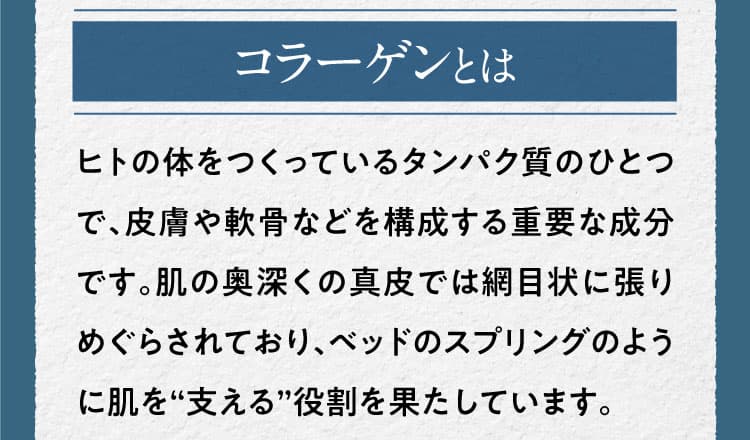 コラーゲンとは ヒトの体をつくっているタンパク質のひとつで、皮膚や軟骨などを構成する重要な成分です。肌の奥深くの真皮では網目状に張りめぐらされており、ベッドのスプリングのように肌を“支える”役割を果たしています。