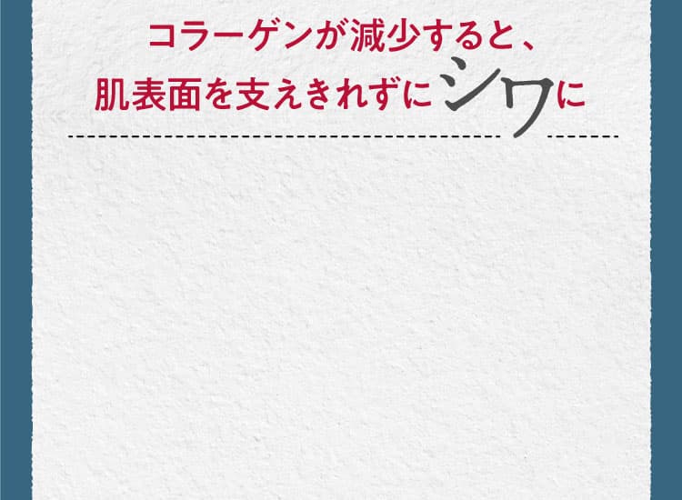 コラーゲンが減少すると、肌表面を支えきれずにシワに