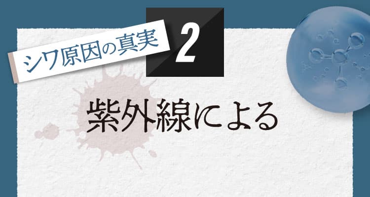 シワ原因の真実２ 紫外線による