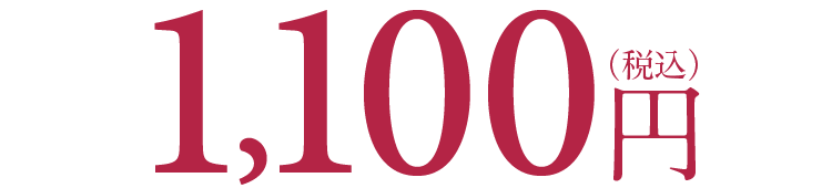 1,100円（税込）