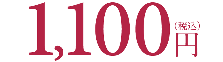 1,100円（税込）